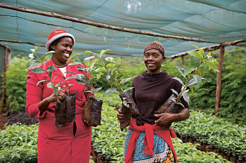 How Nonprofits Can Turn Travel With Purpose Into a Sustainable Revenue Stream
